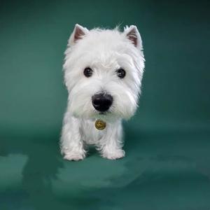 抖音男生锁骨身材 西瓜视频