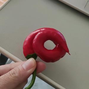 @008头像