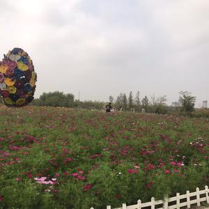 吾暖头像