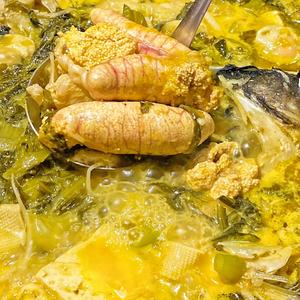 美食专场头像