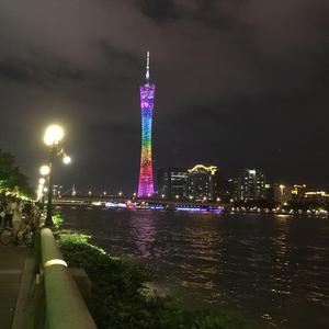 辰鱼解码头像