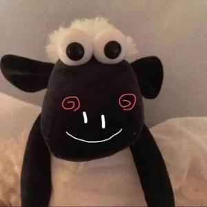 不论头像