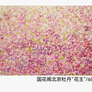国花阁头像