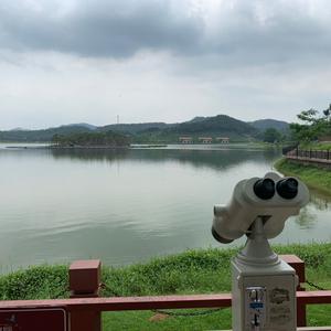 花岸留香头像