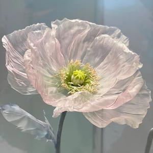 芊芃服装头像