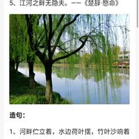 树木丛生下马相迎头像