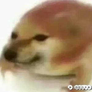 小比嘎头像