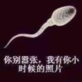 你别嚣张我有你照片头像