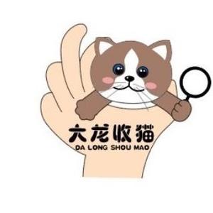 大龙收猫头像