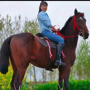 龙小六头像