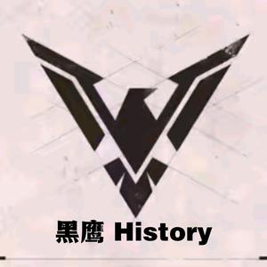 黑鹰History头像