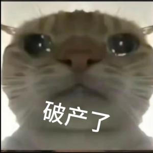 地铁小猫头像