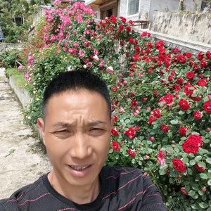 维哥的花园头像