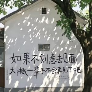深漂阿宝记事本头像