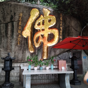 阿保自媒体头像