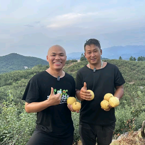 连州水晶梨头像