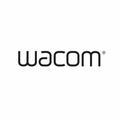 Wacom和冠头像