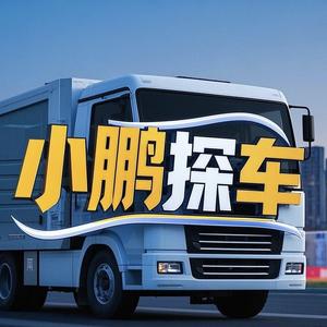 小鹏探车 头像