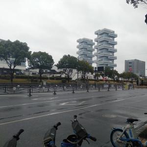 诚信加坚持奋斗拍生活头像