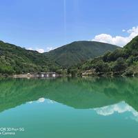 迷途书童灬头像