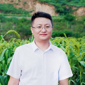 张大彪爱陕北头像
