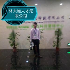 林大炮人才无限公司头像