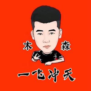 湖远行（追梦之途）头像