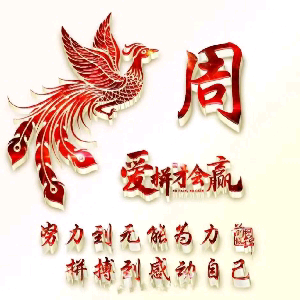 周立波(贵州茅台镇)头像