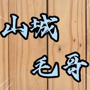 山城毛哥头像