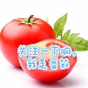 番茄解说头像