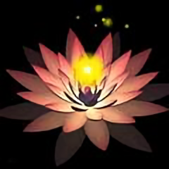 宽什头像