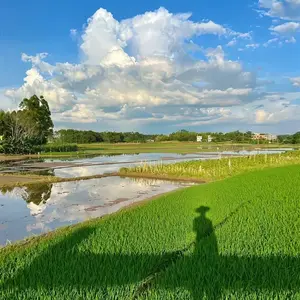 颖画随笔头像