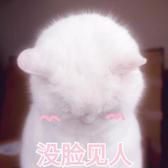 半面妆版头像