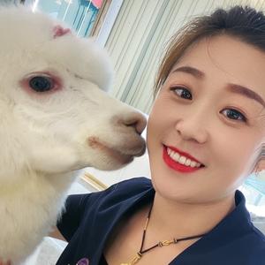 泡泡糖161053873头像