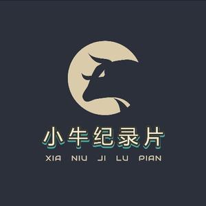 牛牛纪录片头像
