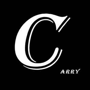 carry探索头像