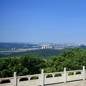 实话实说的老戴头像
