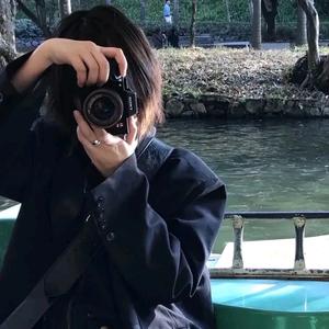 优雅林中漫步头像