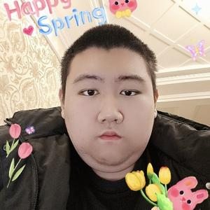 我的洋芋2025头像
