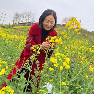 金橘栀子头像