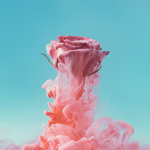 石墨生花头像