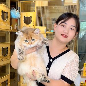 湖北人游惠州头像