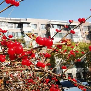 勇敢的映夏头像