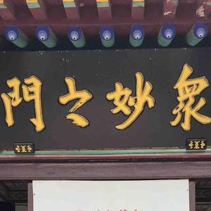 青春麦田头像