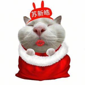 多才暖阳8r头像