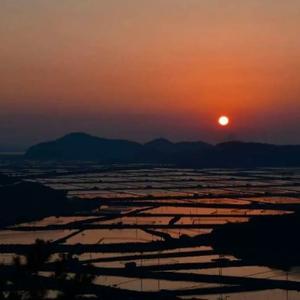 沧海桑田555头像