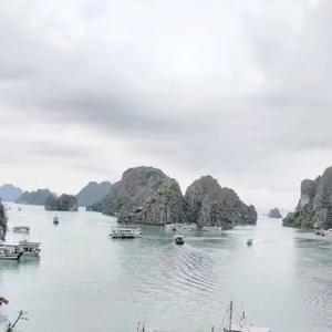 球探追梦人头像