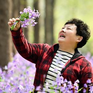 沙漠仙人掌的养护者头像