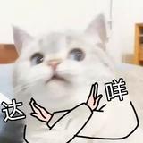 懒懒想去看世界头像