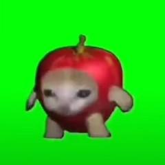 新手meme头像